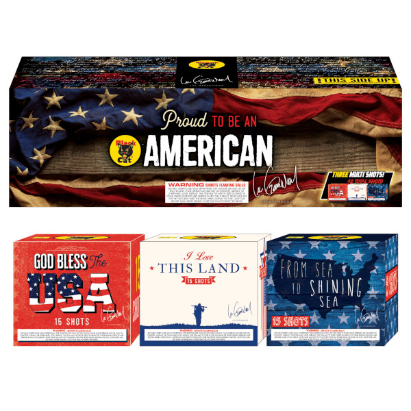 Proud to Be an American Fireworks Assortment